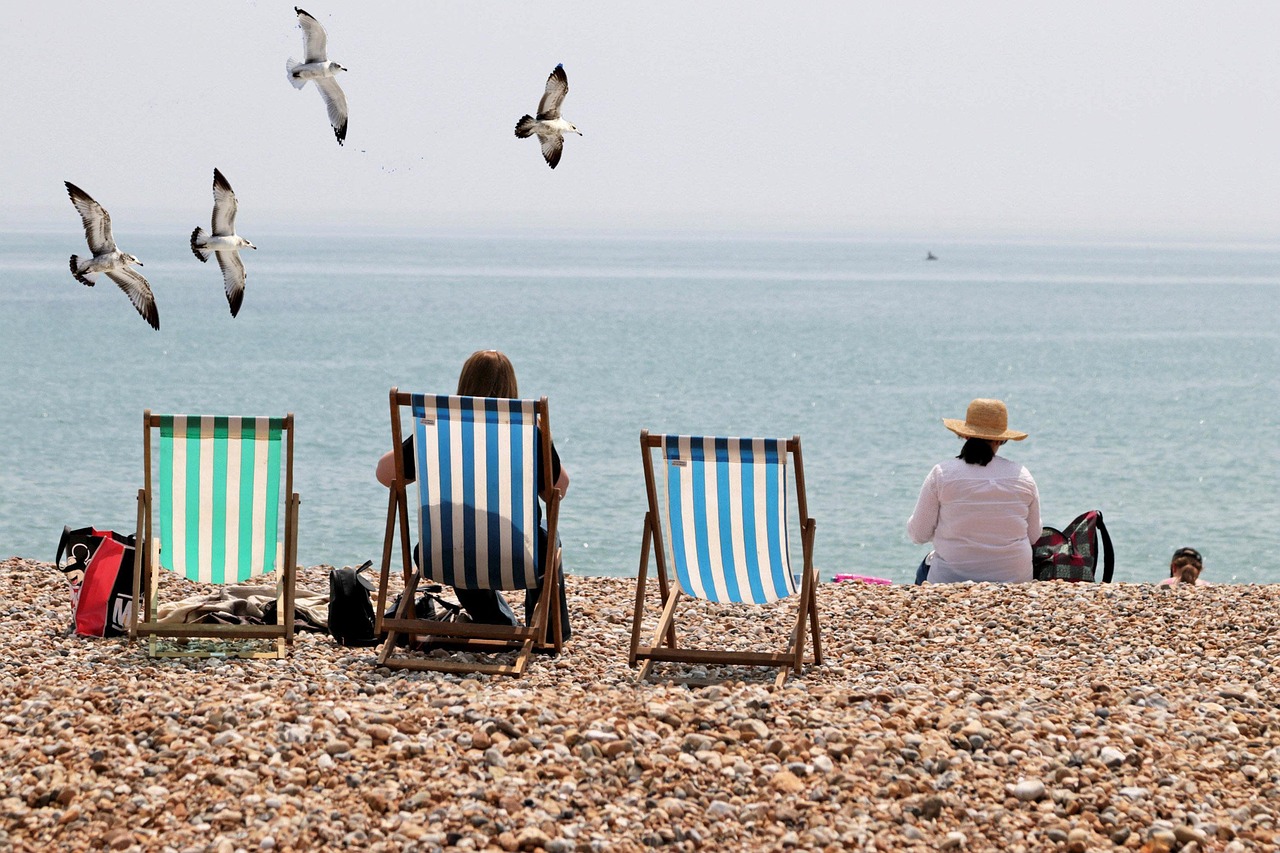 seagulls, bognor regis beach, beach, sea, ocean, sunny, sunshine, seaside, sunbathing, nature, deck chairs, bognor regis, england
