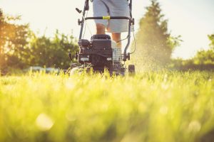 Close-up of a person mowing the lawn with a gas lawn mower on a sunny summer day.