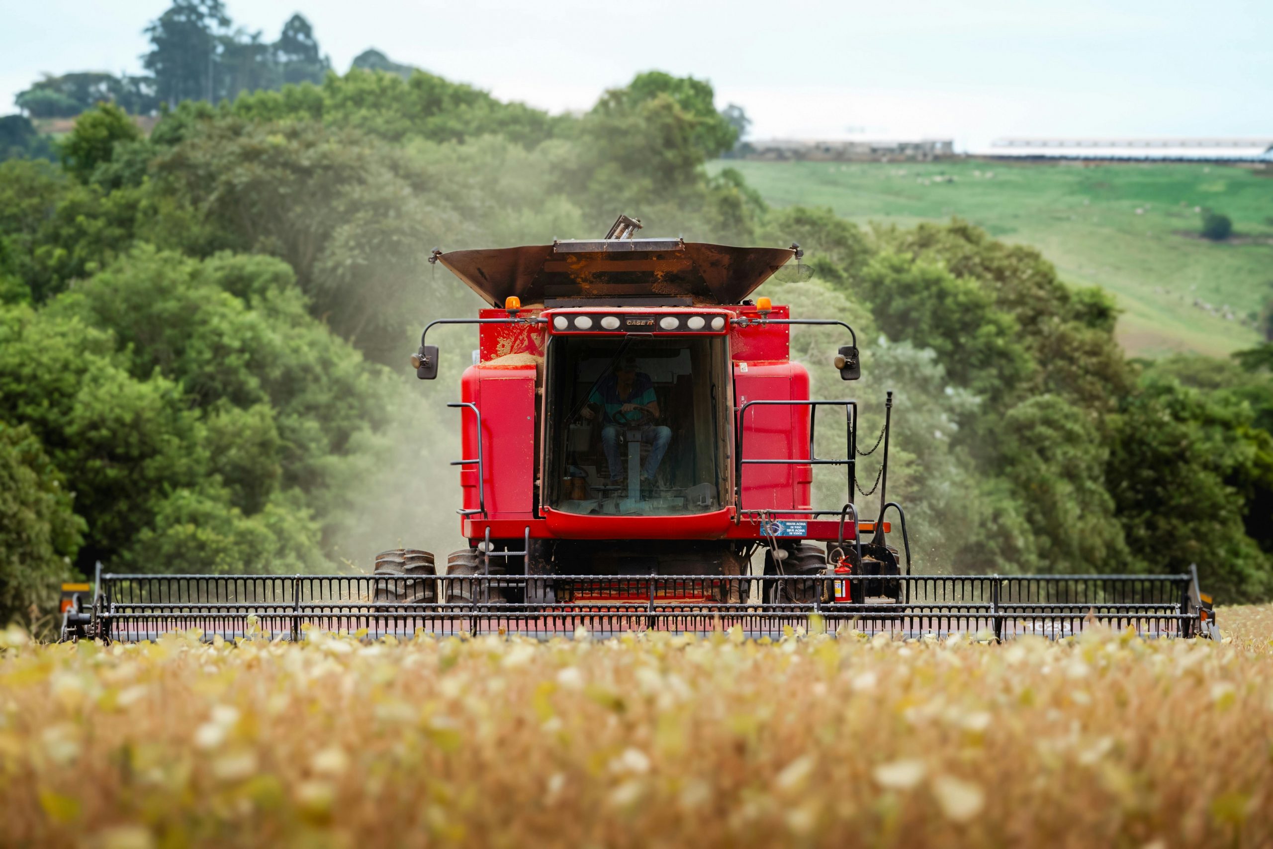 A red combine harvester in action during summer harvest in a lush green countryside.