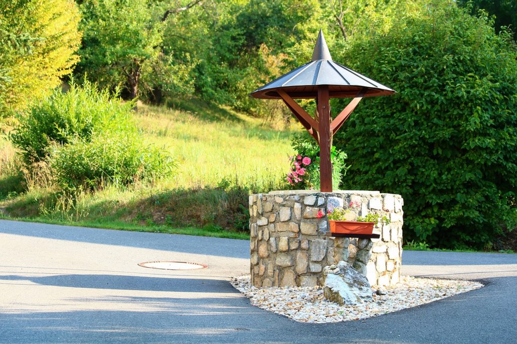 well, calculus, nature, wood, summer