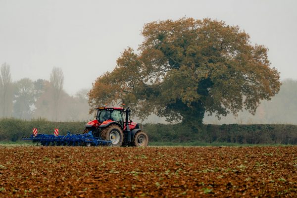 A tractor plowing a muddy field under a large oak tree on a misty autumn morning in the countryside.