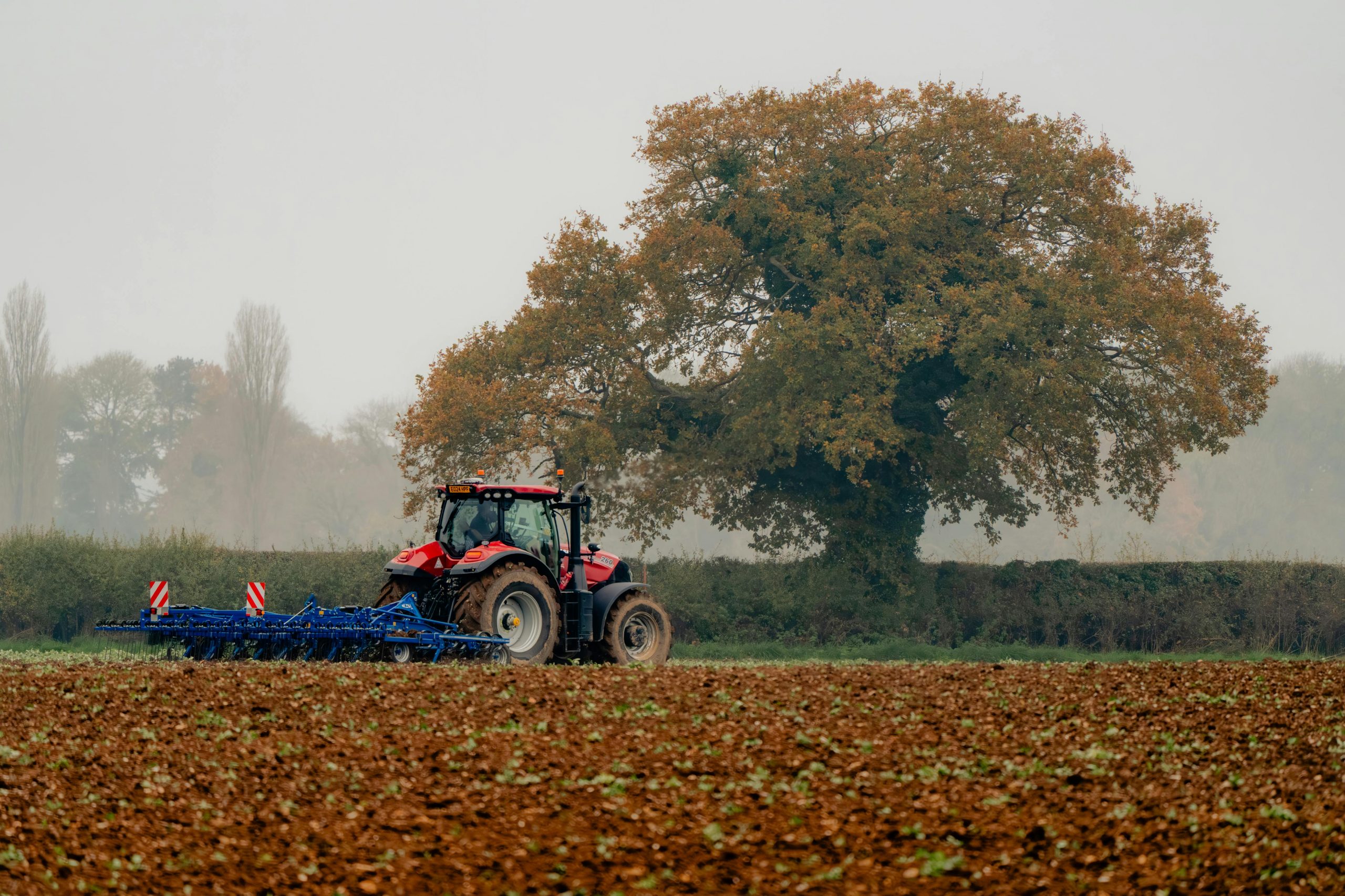 A tractor plowing a muddy field under a large oak tree on a misty autumn morning in the countryside.