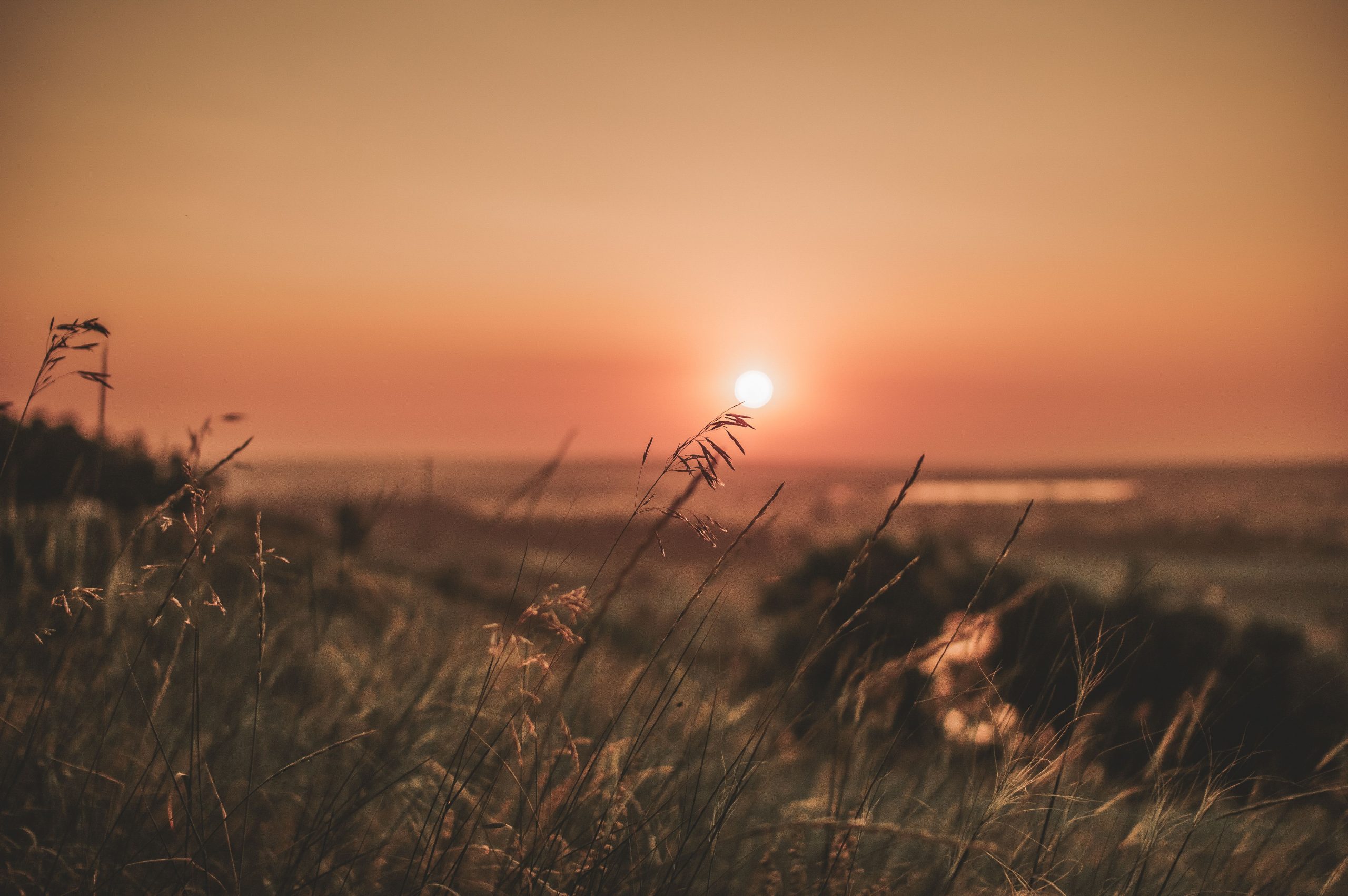 A warm and peaceful sunset over a natural grassland landscape, offering calm and serenity.